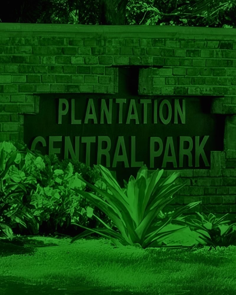 Central Park